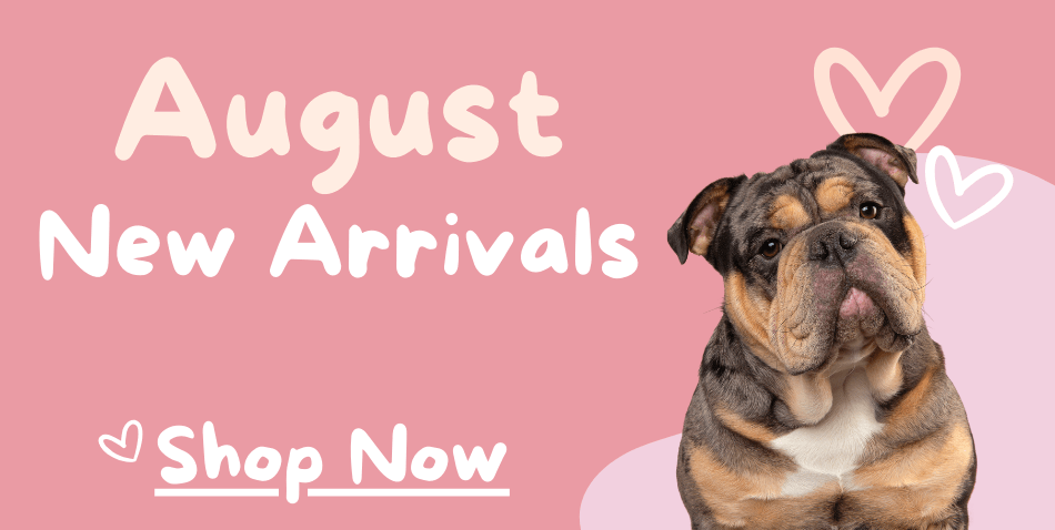 August New Arrivals 
