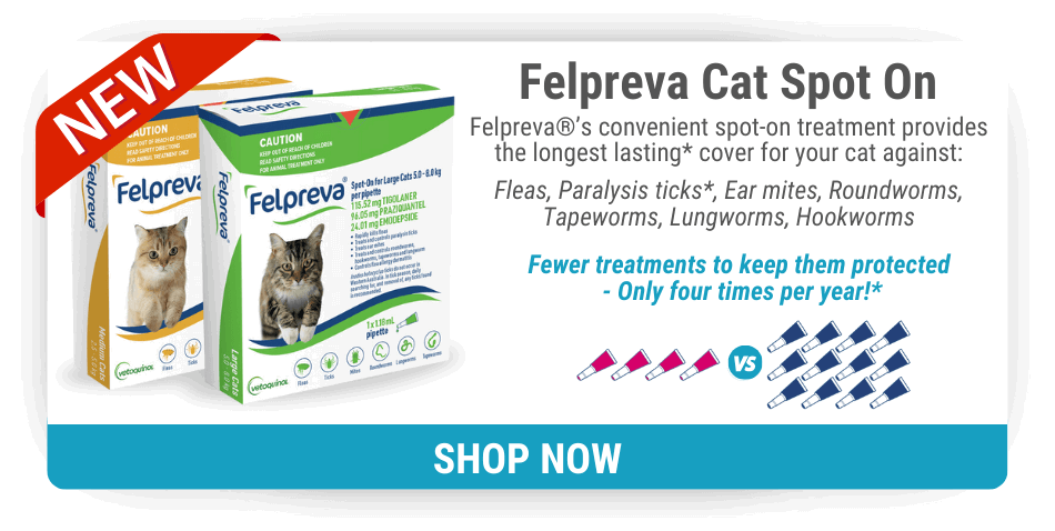 Felpreva Cat Spot On Flea