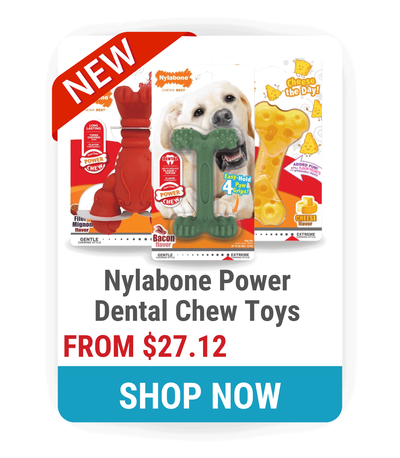 Nylabone Power Chew