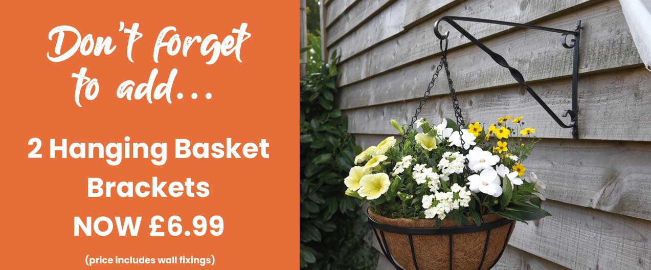 Hanging Basket Brackets and fixings
