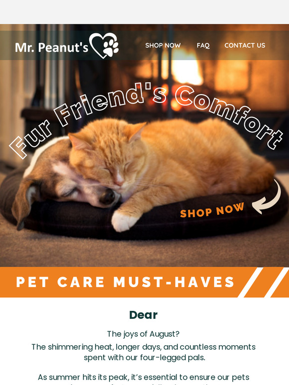 🌞 Summertime Essentials: The Ultimate August Pet Care Guide! 🐾