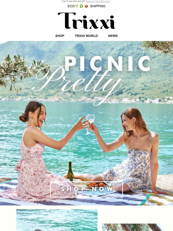 Picnic PRETTY🍓✨🧺🌞