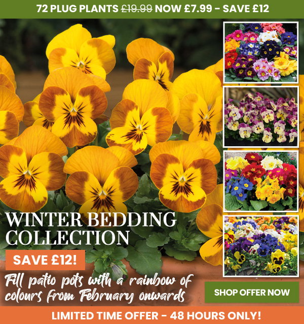 Winter Bedding Best Seller Collection