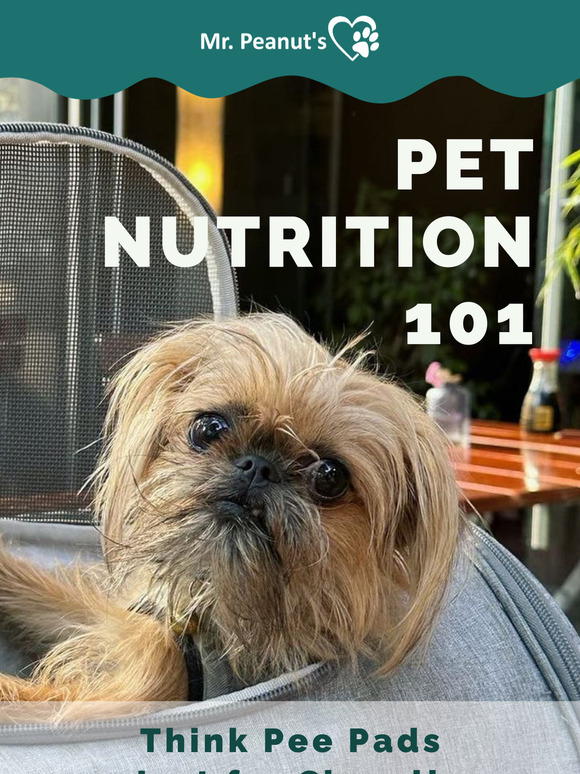 How Hydrated is Your Pet?