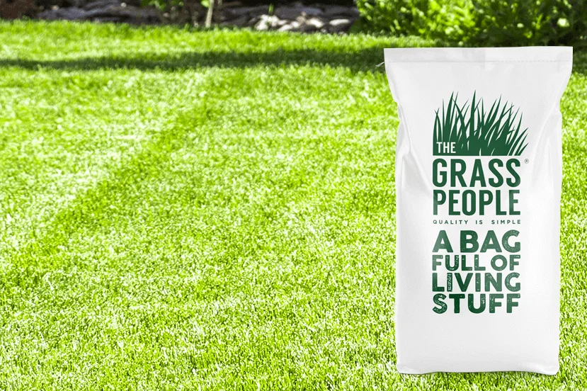 Image of IMPRESS: Clay Master Lawn Seed