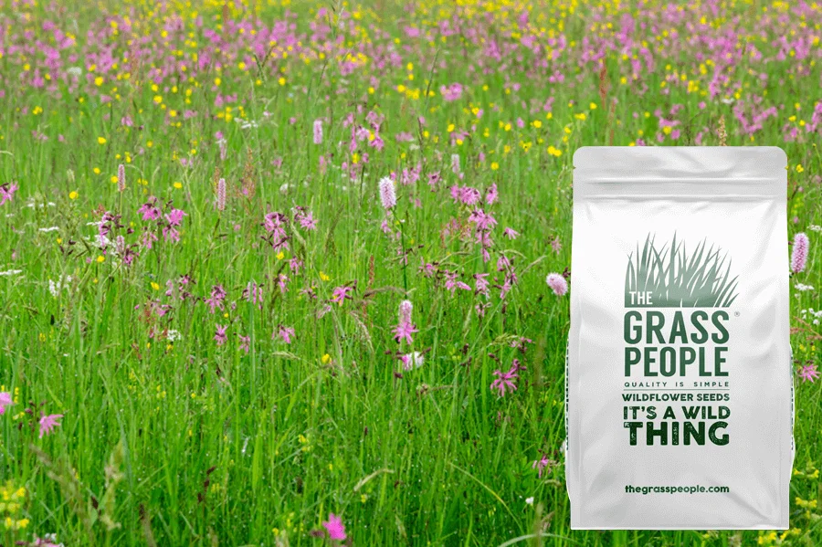 Image of Heavy Clay Soils Wildflowers