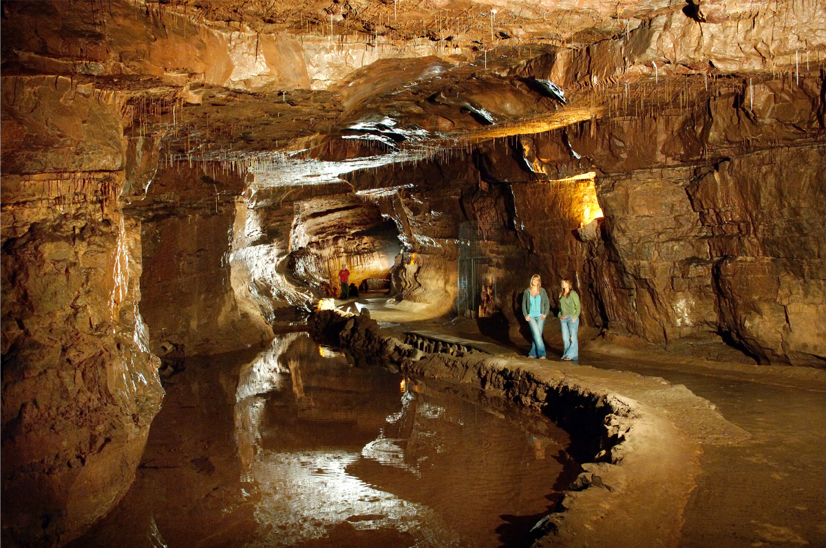 New Scientist Discovery Tours |  Image links to tours