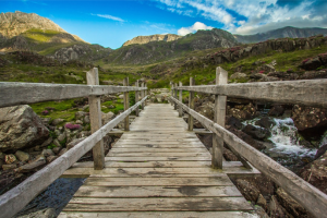 New Scientist Discovery Tours | North Wales