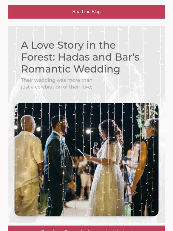 🌲Step into a Forest Fairytale 🌲