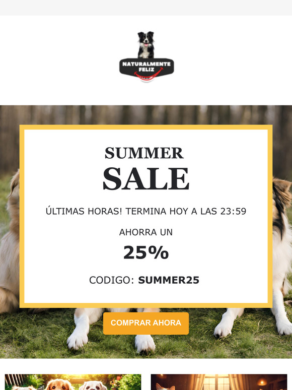 ¡Sumérgete en el ahorro! 🌞