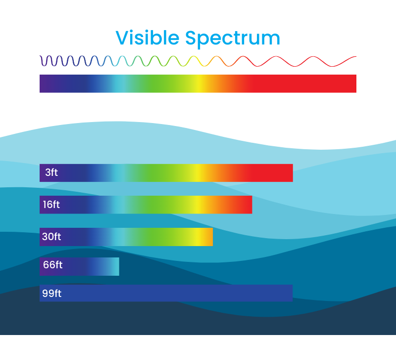 Sea Color Depth CMY Cubes: 🤿 Did you know colours look different underwater? | Milled