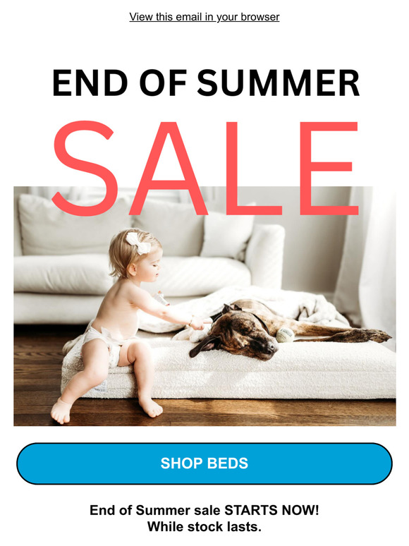 Our Biggest End of Summer Sale STARTS NOW 📣