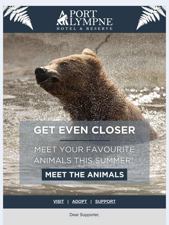 Supporter, Wild Adventures Await: Feed the Animals at Port Lympne this weekend