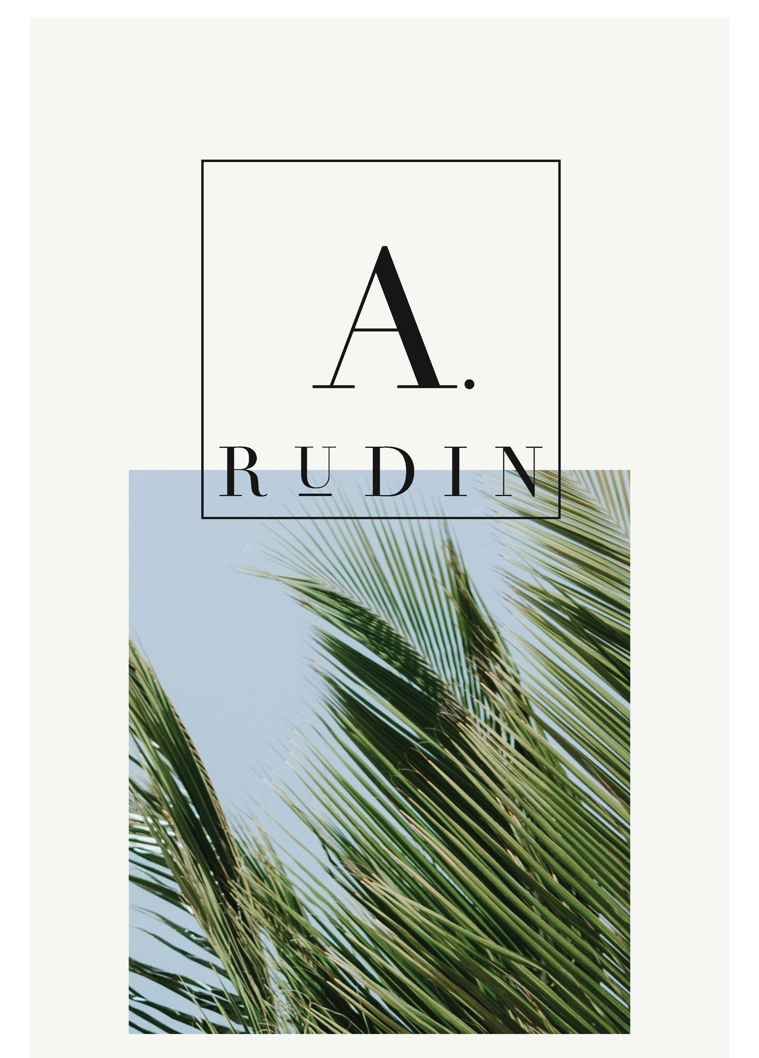 A. Rudin Website