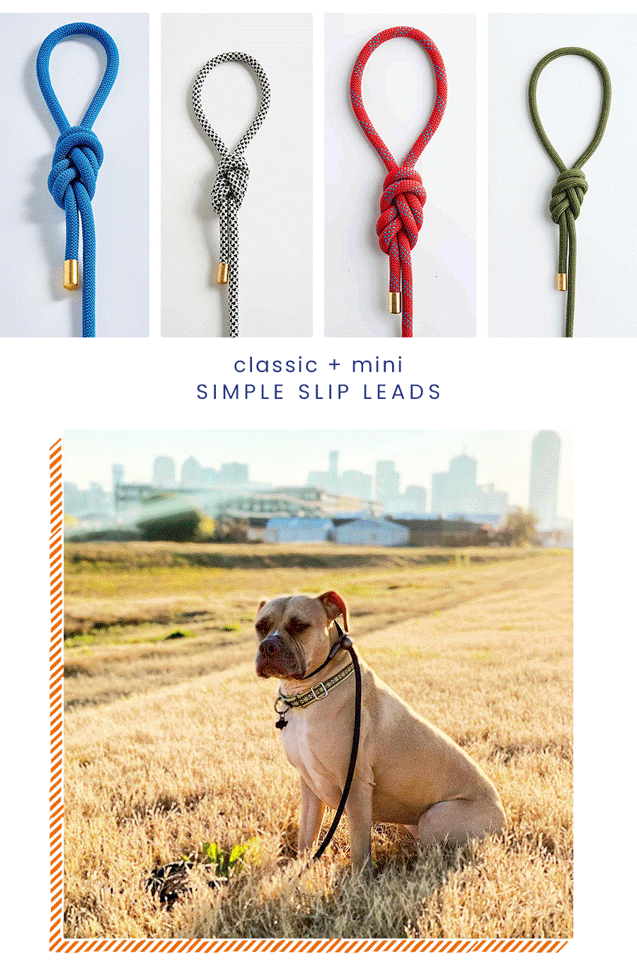 Bubble & Spike: Upgrade your Summer Walks 🦮 | Milled