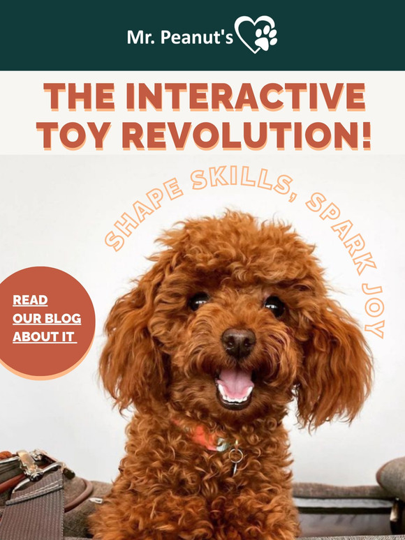 Toys that Think with Your Pet!