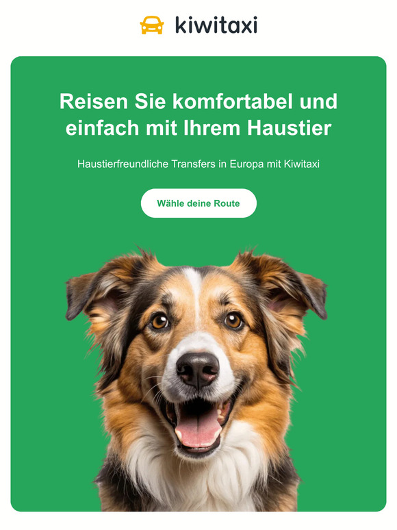 Reisen Sie mit Ihrem Haustier? Willkommen bei Kiwitaxi! 🐶+🚕=❤️