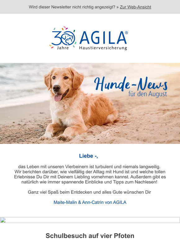 Diese Hunde Bucket List solltest Du kennen 🐾