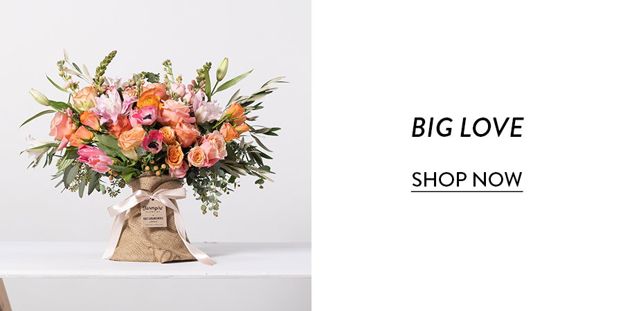 Shop Big Love