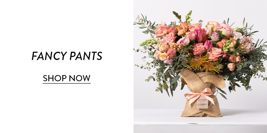 Shop Fancy Pants