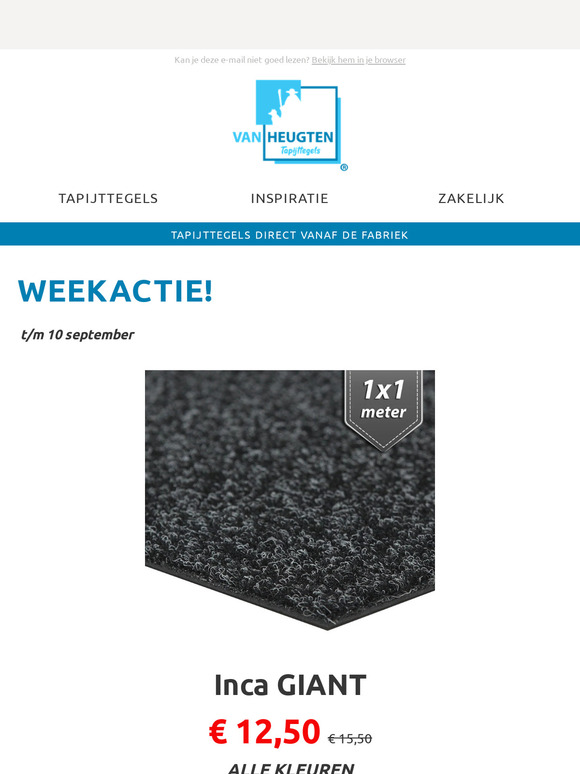 ⬛ Weekactie, INCA GIANT 100x100cm voor €12,50-