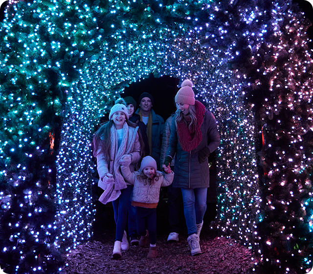 Winter Wonderland magic