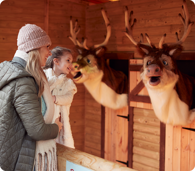 Magical Christmas breaks
