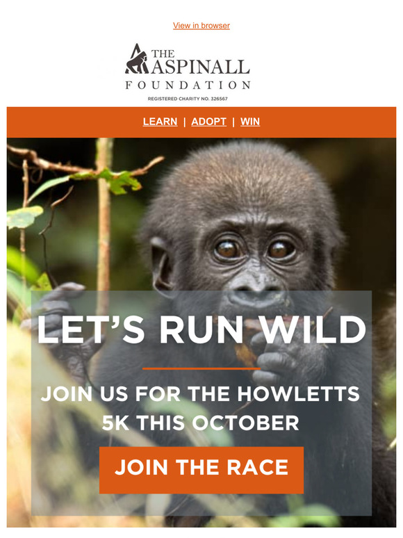 🥇Will you go for gold for our gorillas, Supporter