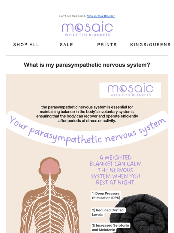 What is my parasympathetic nervous system?