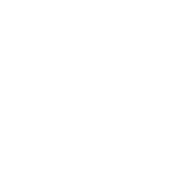 Button Text