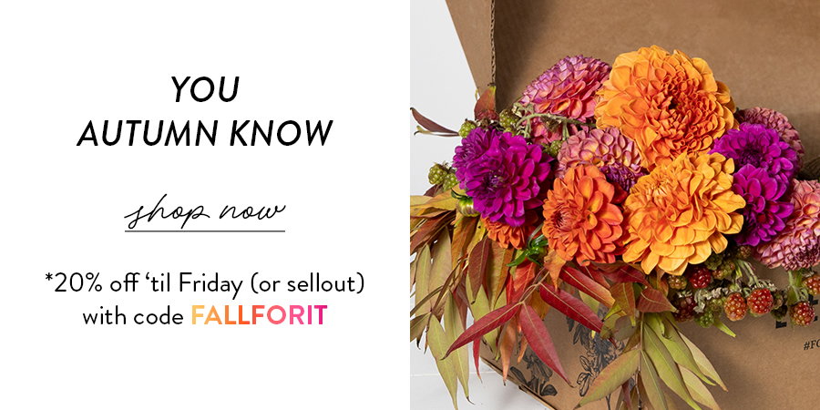 YOU AUTUMN KNOW | Shop Now