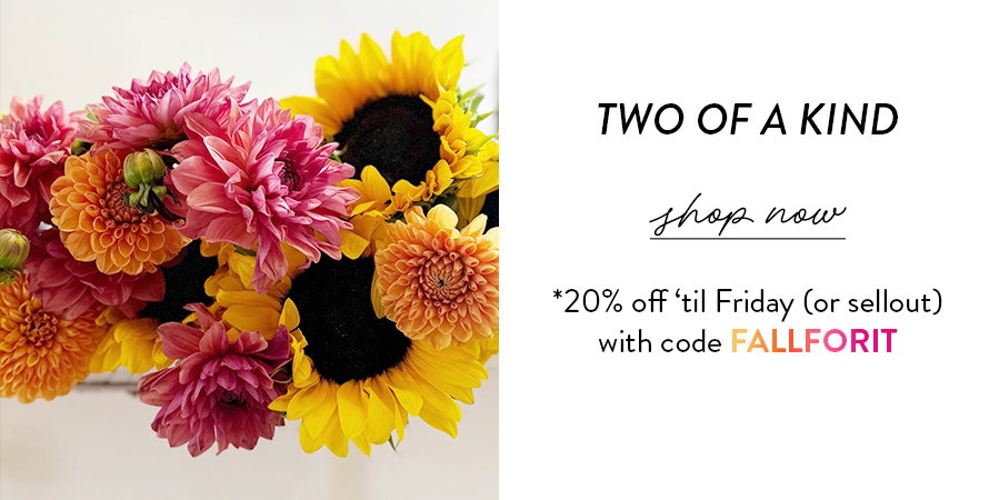 Shop Two Of A Kind