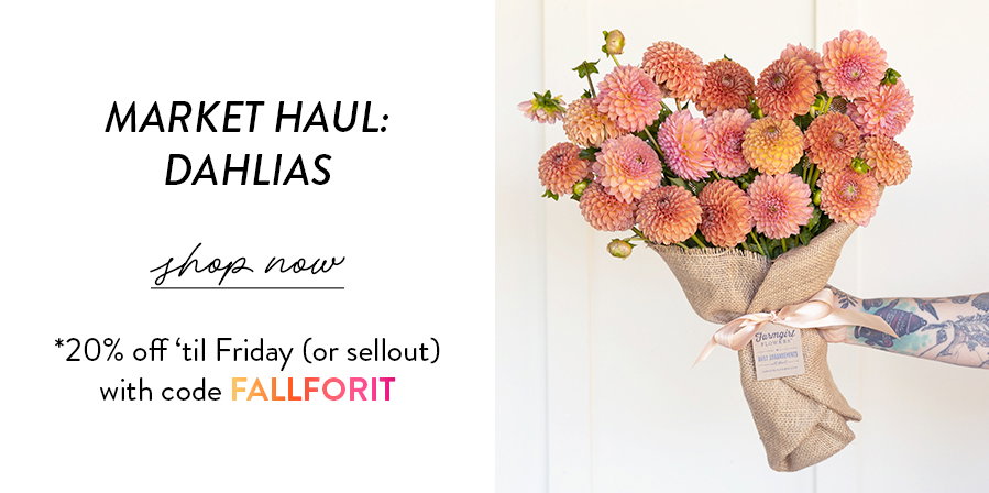 Shop Market Haul: Dahlias