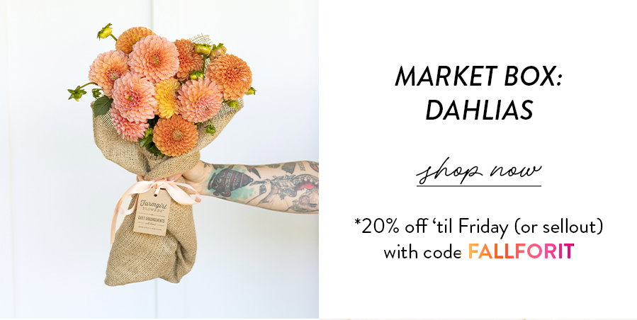 Market Box: Dahlias