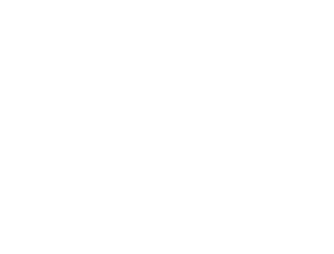 Cushion Lab