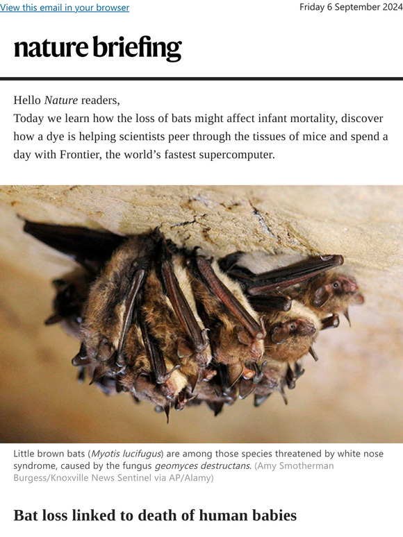 Nature: The Doritos dye that makes mouse tissue transparent Milled