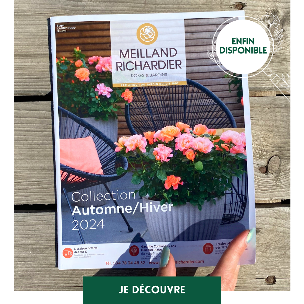 Sitemapcdatahttpsshopinf Inetcommeilland Richardier Catalogue 2022