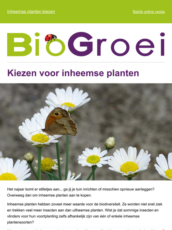 —, welke inheemse planten kies je best? | Tuintips september