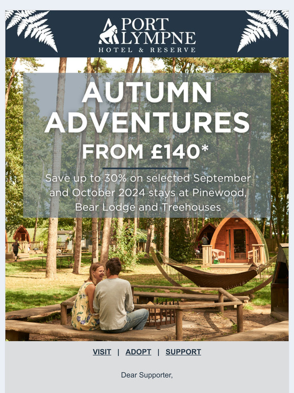 Supporter, stay with us from £140 this autumn 🍂🍁🌻