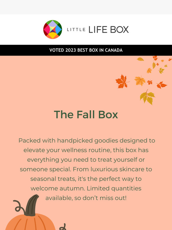 NEW! The Fall Box 🍁📦