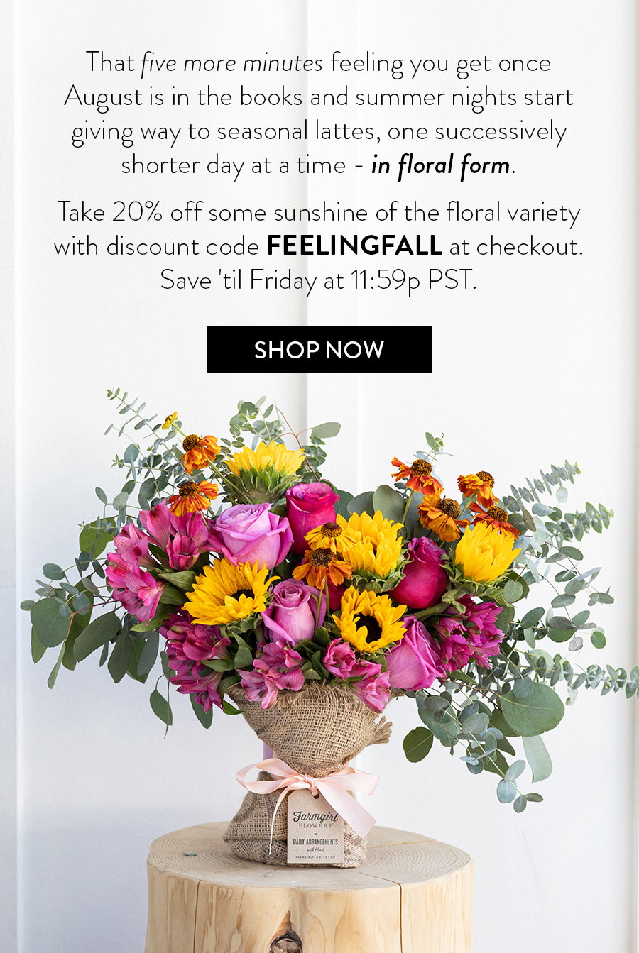 That five more minutes feeling you get once August is in the books and summer nights start giving way to seasonal lattes, one successively shorter day at a time - in floral form.   Take 20% off some some sunshine of the floral variety with discount code FEELINGFALL at checkout. Save 'til Friday at 11:59p PST. | SHOP NOW