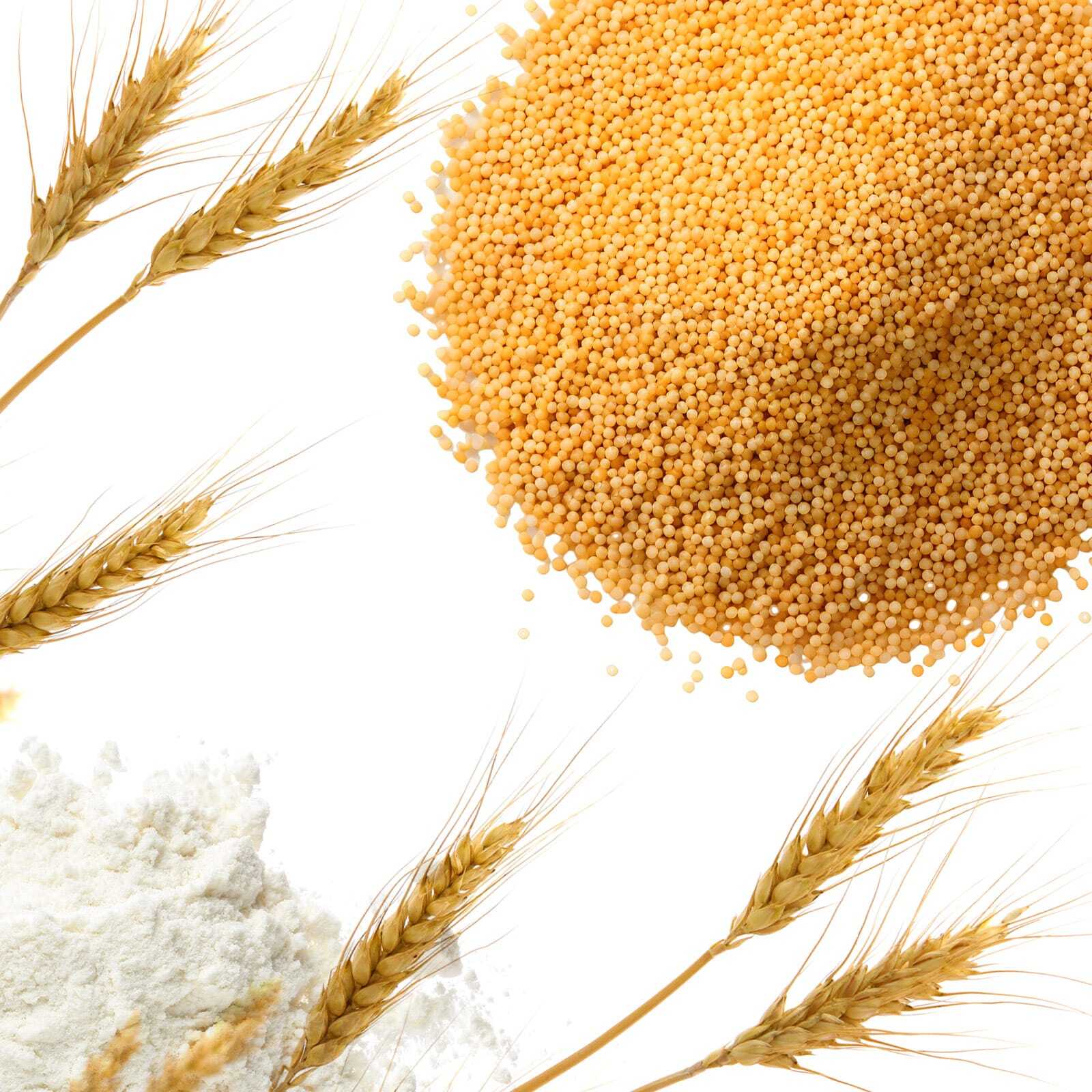Cous cous integrale con granelli di semola di grano duro
