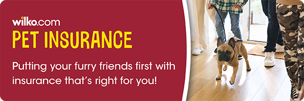 wilko.com Pet Insurance