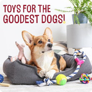 Toys for the goodest dogs!