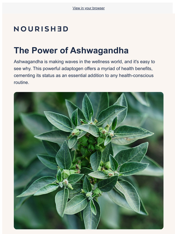 Experience the Power of Ashwagandha