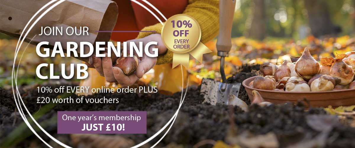Gardening Club