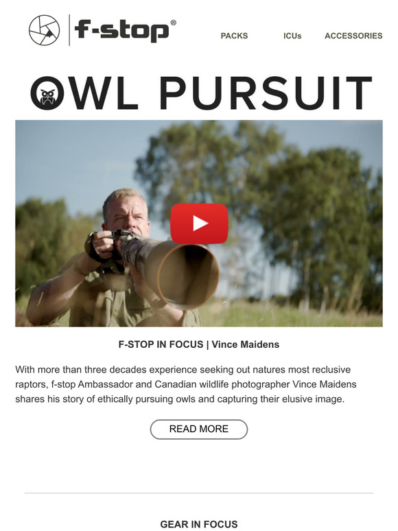 f-stop in focus | Owl Pursuit with Vince Maidens