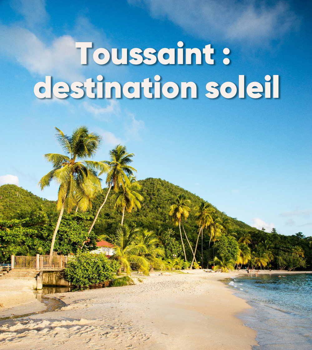Toussaint : destination soleil