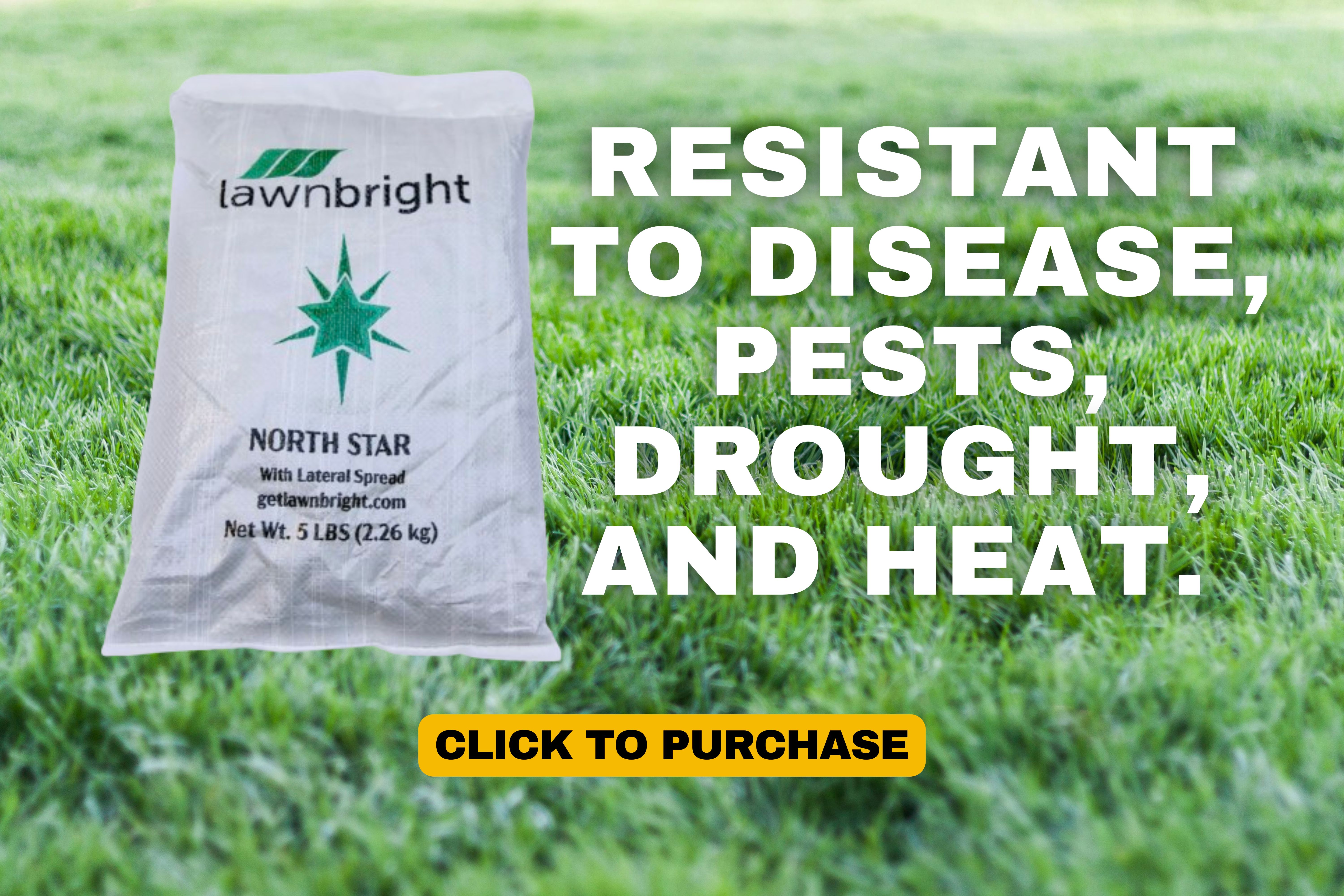 Get your super turf today!