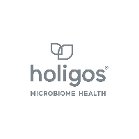 Holigos Logo